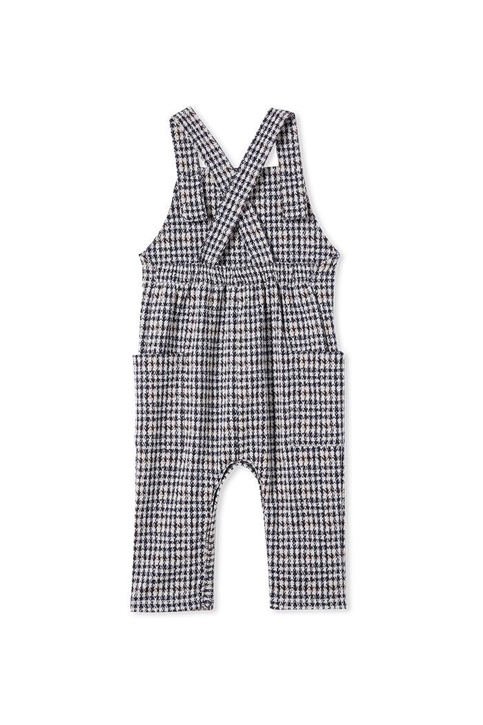 Check Overall