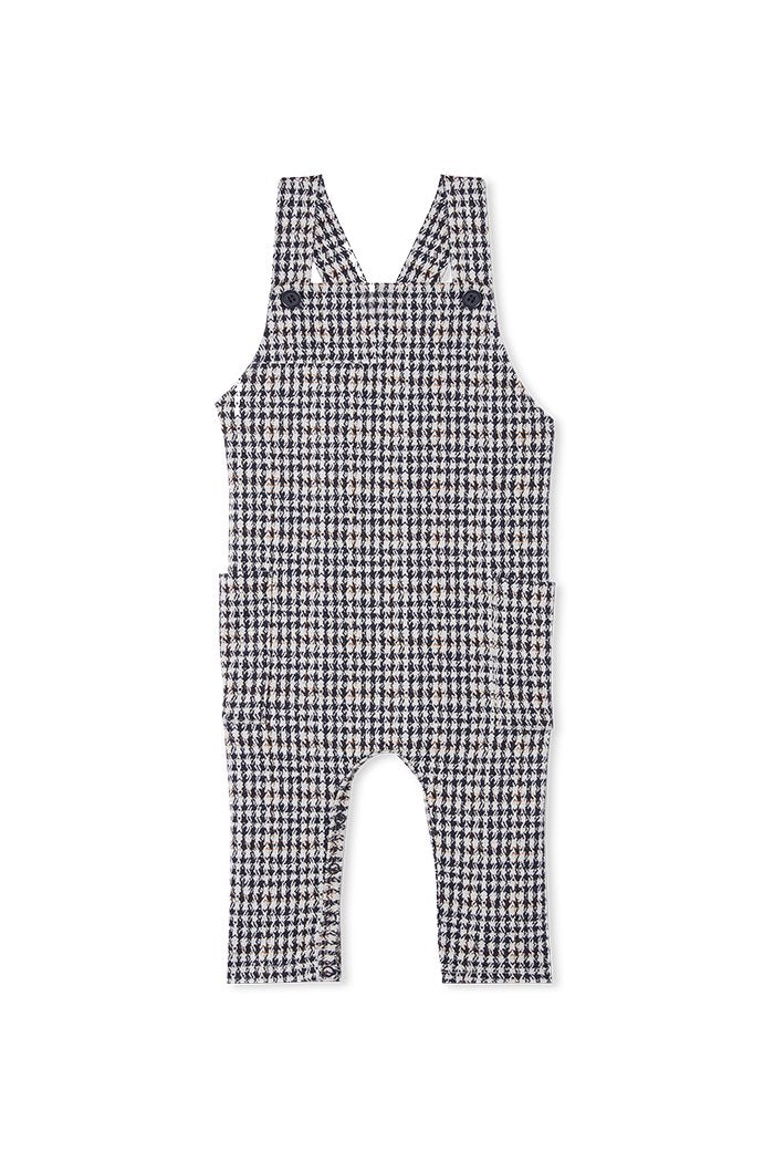 Check Overall